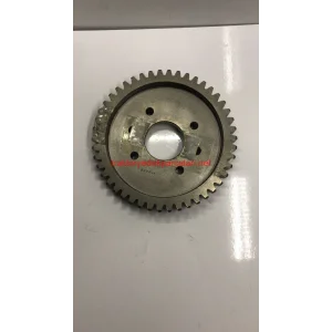 TRANS MAHRUH DİŞLİ (46 DİŞ)