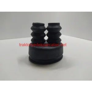 VİTES KAPAĞI KÖRÜĞÜ HATTAT