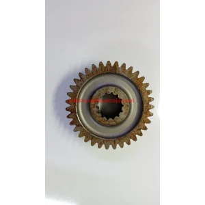 YAVRU ŞANZUMAN DİŞLİSİ ÜNİVERSAL