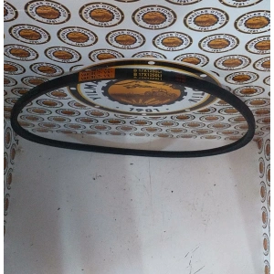 17 X 1250 V KAYIŞ DÜZ