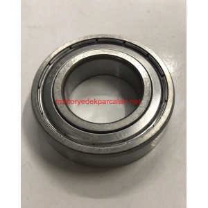 6005 ZZ C3 RULMAN ART