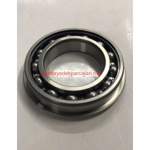 6009 NR C3 RULMAN ORS