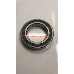 6014 2RS RULMAN SKF