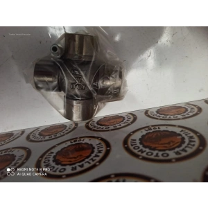 AKS KARDAN MAFSALI DANA DİNGİL