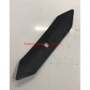 AYSAN KÜRÜM YILAN DİLİ