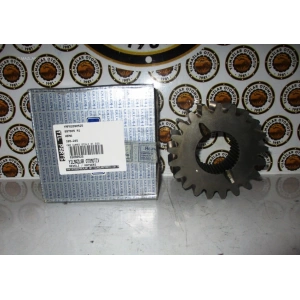 CER GÜNEŞ DİŞLİ MF