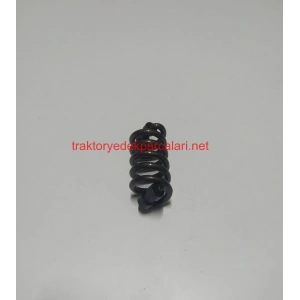 DEBRİYAJ BASKI YAYI