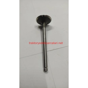 EKSOZ SUBAP - HATTAT