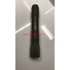 GÜNEŞ DİŞLİ MİLİ HATTAT