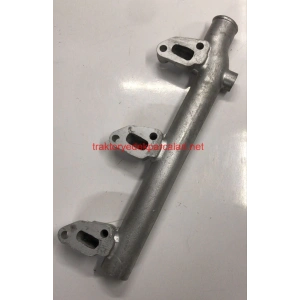 HARARET MÜŞÜR BORUSU (SONALİKA) BAŞAK