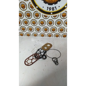 HİDROLİK POMPA TAM.TAKIMI 630-955