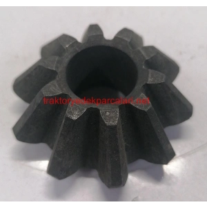 İSTAVROZ DİŞLİSİ HATTAT