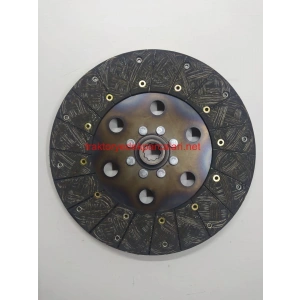 KASNAK BALATASI TÜMOSAN