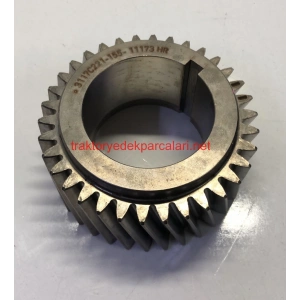 KRANK DİŞLİSİ HATTAT