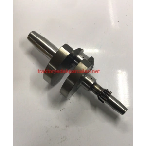 KRANK MİLİ 820 LOMBARDİNİ