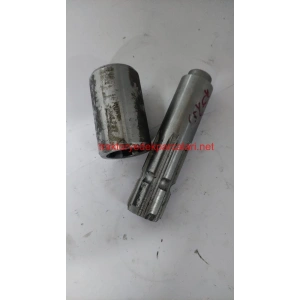 KUYRUK MİLİ - ERKEK - DİŞİ