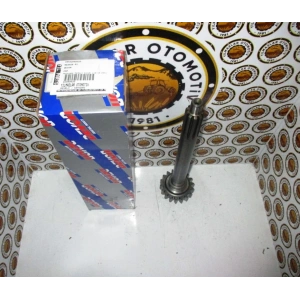 PRZDİREK MEMELİ KÜÇÜK (18/10 DİŞ) 964926M1