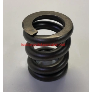 REAKSİYON MESNET YAYI HATTAT