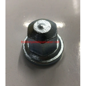 SANTRAFUJ MİL SOMUNU SARI ORJİNAL E89 PANCAR MOTOR