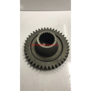 ŞANZUMAN DİŞLİSİ (266G-285G) HATTAT