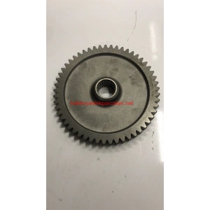 ŞANZUMAN DİŞLİSİ HATTAT