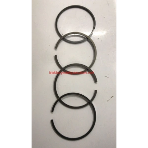 SEGMAN TAKIM 1.0MM FARKLI 450 LOMBARDİNİ