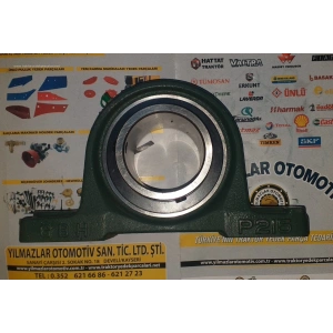 UCP 215 YATAKLI RULMAN