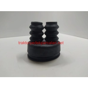 VİTES KAPAĞI KÖRÜĞÜ HATTAT