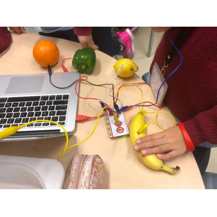 Makey Makey Deluxe Kit