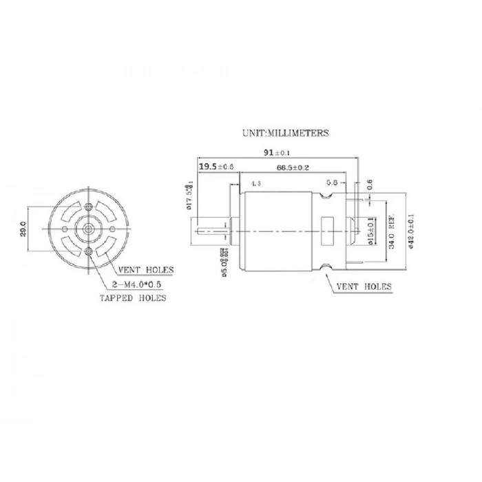 RS775 12V 3000 RPM DC Motor