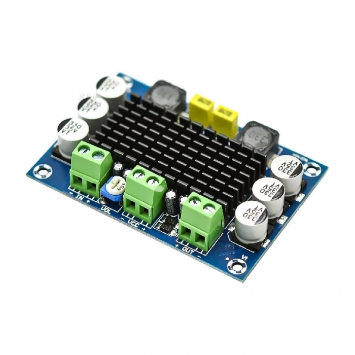 TPA3116 D2 DA Mono 100W Digital Audio Amplifier Board - DC 12V/24V Power