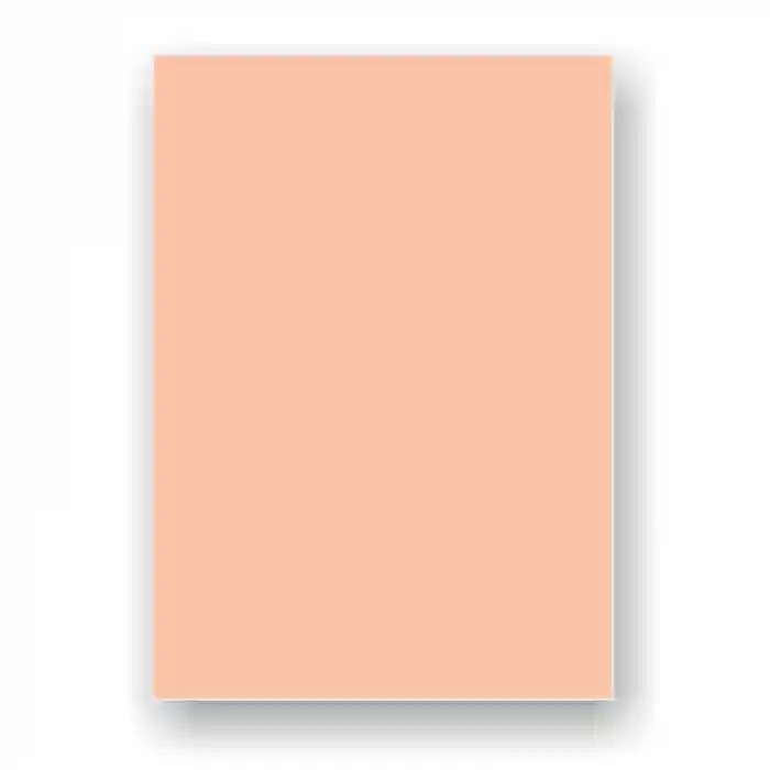 Adel 50x70 160 Gr Somon Fon Kartonu 2020 100 Lü