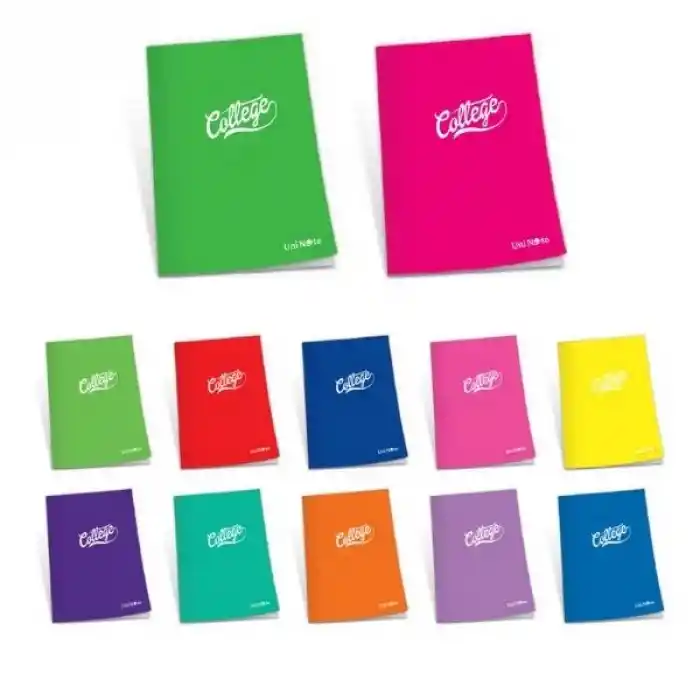 Çınar College A4 80 Yp Çizgili Pp Kapak Dikişli Defter 76004