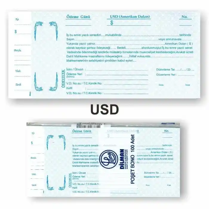 Dilman Dolar Senet Koçanı 100 Lü