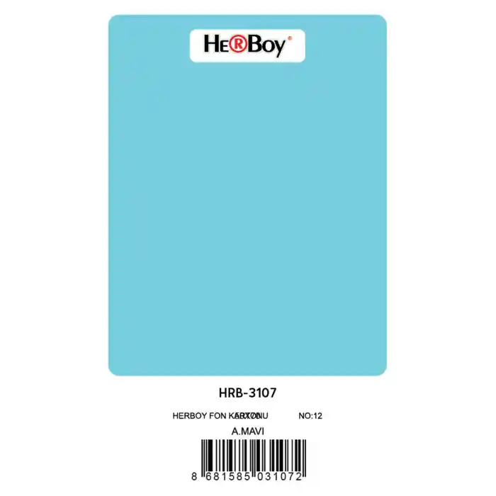 Herboy Fon Kartonu 50x70 Açık Mavi No:12 160 Gr 100 Lü Hrb-3107