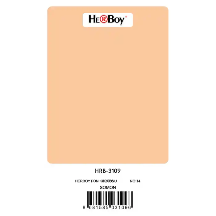Herboy Fon Kartonu 50x70 Somon No:14 160 Gr 100 Lü Hrb-3109