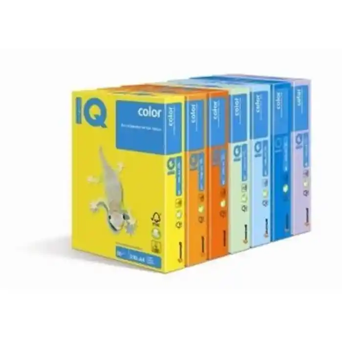 IQ A4 Açık Yeşil Renkli Fotokopi Kağıdı 80 Gr Mg28