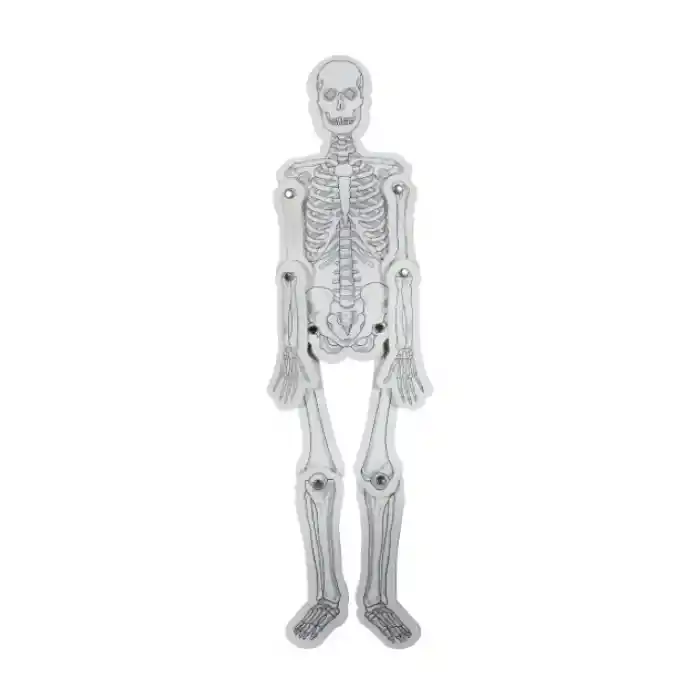 Karton İskelet Sistemi