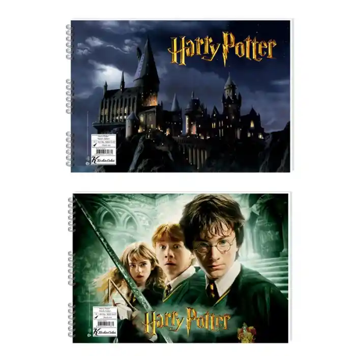 Keskin Harry Porter 17x25 15 Yp Spr Resim Defteri 300115-07