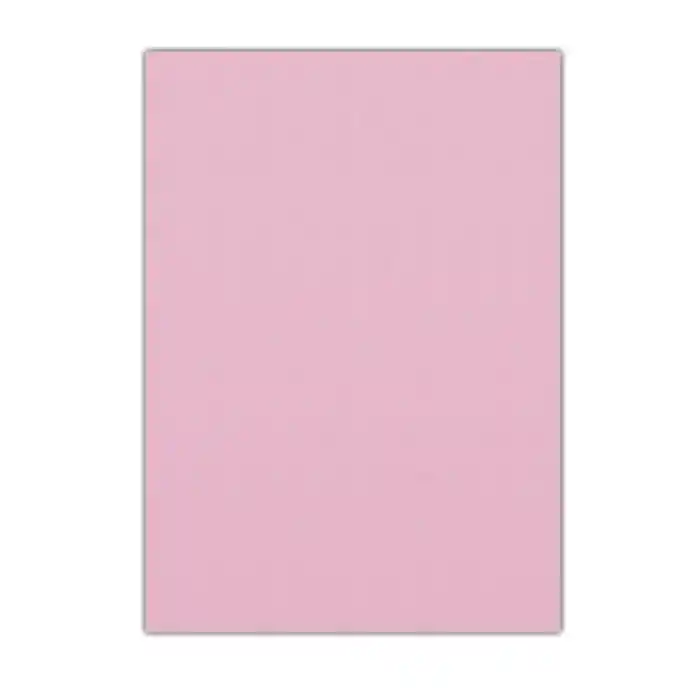Lıno Eva 50x70 Pembe 10 Lu Rbe-623