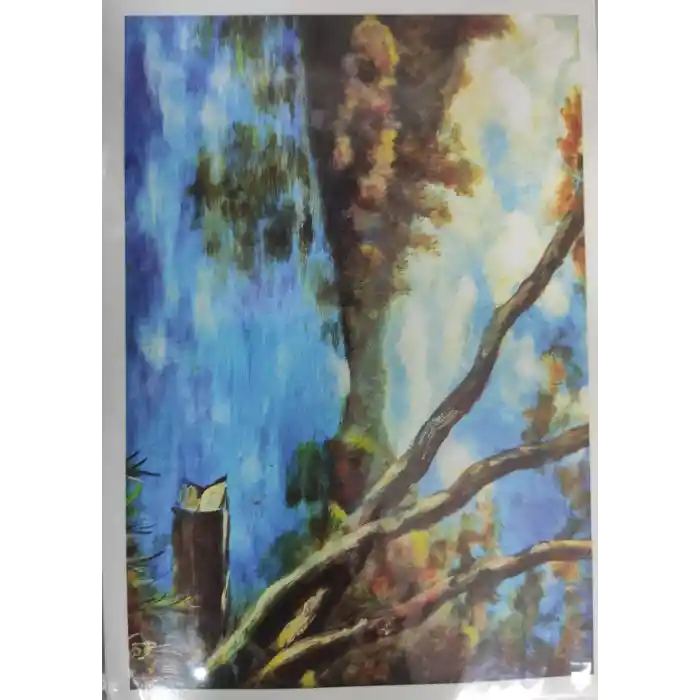 Seven Kartpostal Svn-501/502/503
