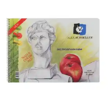 Alex Schoeller 25x35 Resim Defteri 120 Gr.15 Yp