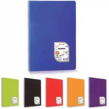 Çınar Colormaxı 17x24 60 Yp Çizgili Spiralli Defter 73104