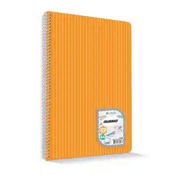 Çınar Colormaxı A4 144 Yp Kareli Pp Kapak Spiralli 73011