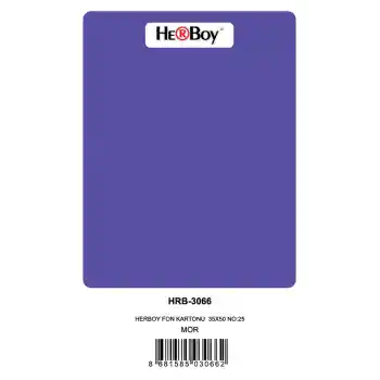 Herboy Fon Kartonu 35x50 No:25 Mor 100 Lü Hrb-3066
