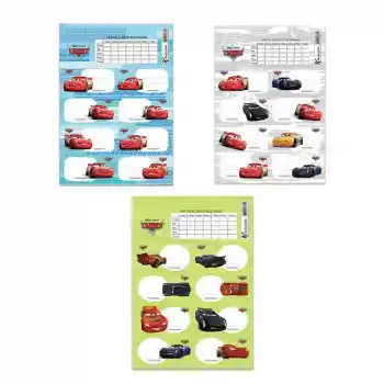 Keskin Cars 3 Lü Ders Programlı Etiket 220130-33