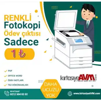 Renkli Ödev Çıktısı