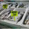 Balıkçı Tezgah Etiketi Açılı Saplamalı Fiyat Etiketi Fosforlu Sarı Büyük Boy 10 Adet