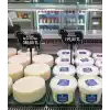 PVC Yaz Sil Ayaklı Etiket Tutuculu Kuzu / Koyun Fiyat Etiketi 10 lu Pk.