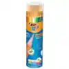 Bic Evolutıon 24+1 Metal Tüp Kuruboya 958190